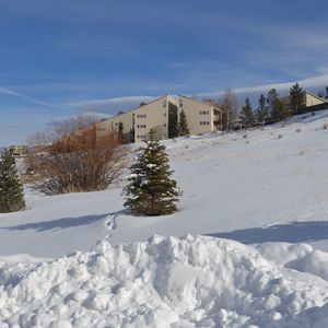 Meet your Posher, Tammy bill